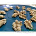 Ulubione składniki cukrowego Chefa Walnut Chernels
